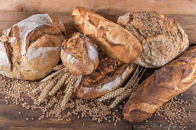 L'epi Gaulois Clermont-Ferrand Boulangerie - Myboulange